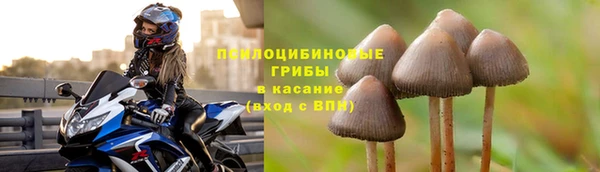 амфетамин Белокуриха