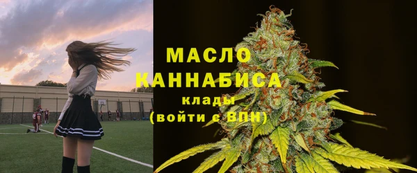 тгк Богородицк