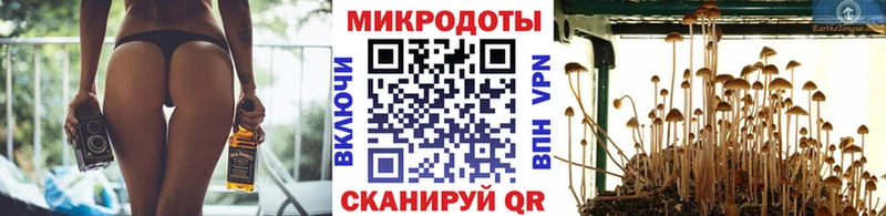 Псилоцибиновые грибы Magic Shrooms  где купить   Бузулук 